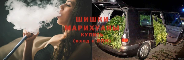 прущие грибы Алзамай