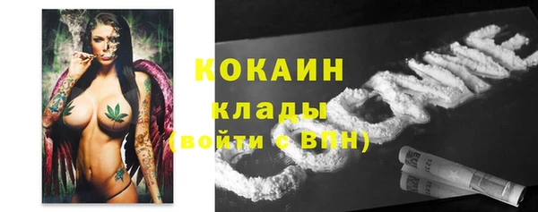амф Алексин