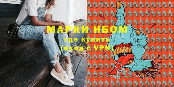прущие грибы Алзамай