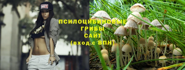прущие грибы Алзамай