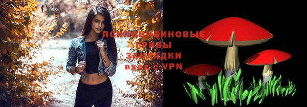 ГАЛЛЮЦИНОГЕННЫЕ ГРИБЫ Алексеевка