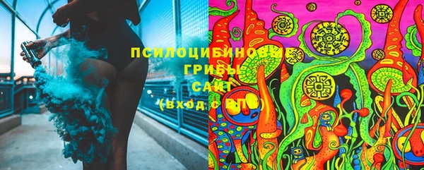 ГАЛЛЮЦИНОГЕННЫЕ ГРИБЫ Алексеевка