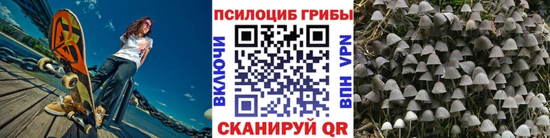 как найти наркотики  Куйбышев  kraken ССЫЛКА  Псилоцибиновые грибы Cubensis 