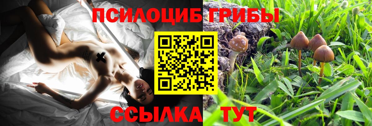 Куйбышев  Псилоцибиновые грибы мицелий  Вход с VPN 
