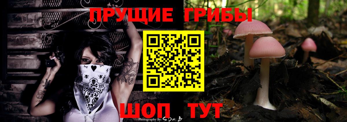 Галлюциногенные грибы Psilocybe Куйбышев